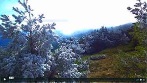 V�deo de Cercedilla.tv