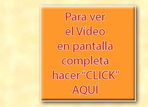 v&iacute;deo pantalla completa